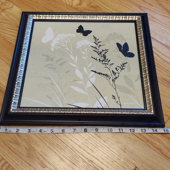 Butterfly nature picture - Picture 3 of 8